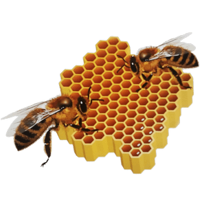 Кировская областная общественная организация пчеловодов «Вятка»